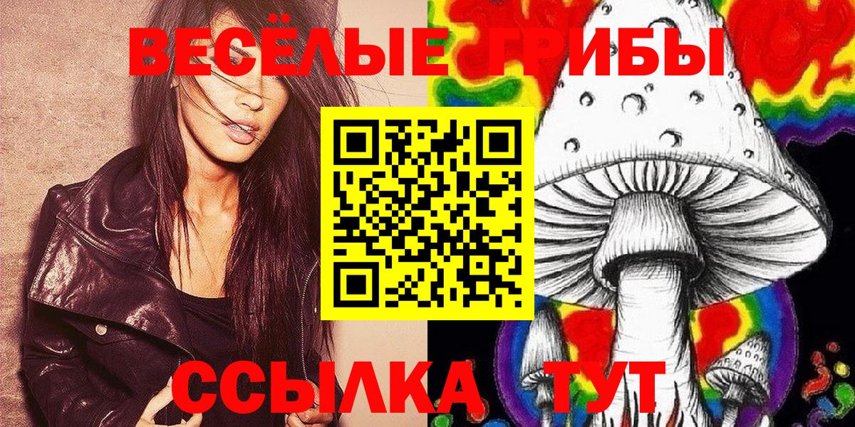 Галлюциногенные грибы GOLDEN TEACHER Петрозаводск