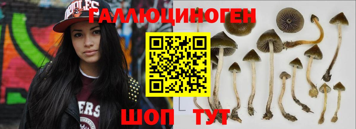 Петрозаводск  Псилоцибиновые грибы Cubensis  Галлюциногенные грибы мицелий  Вход с VPN 